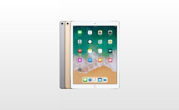 iPad Pro 12,9 inç (2. nesil)