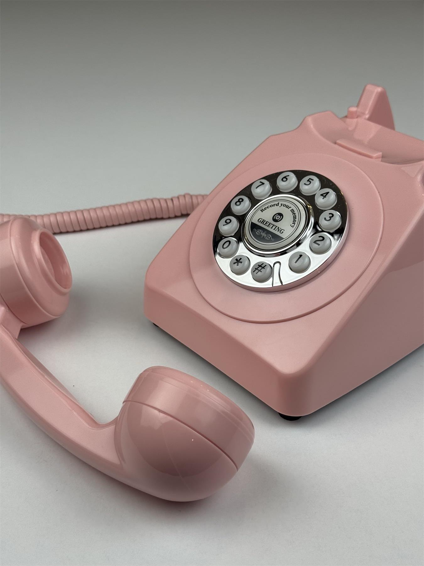Pembe Echo detay görünümü