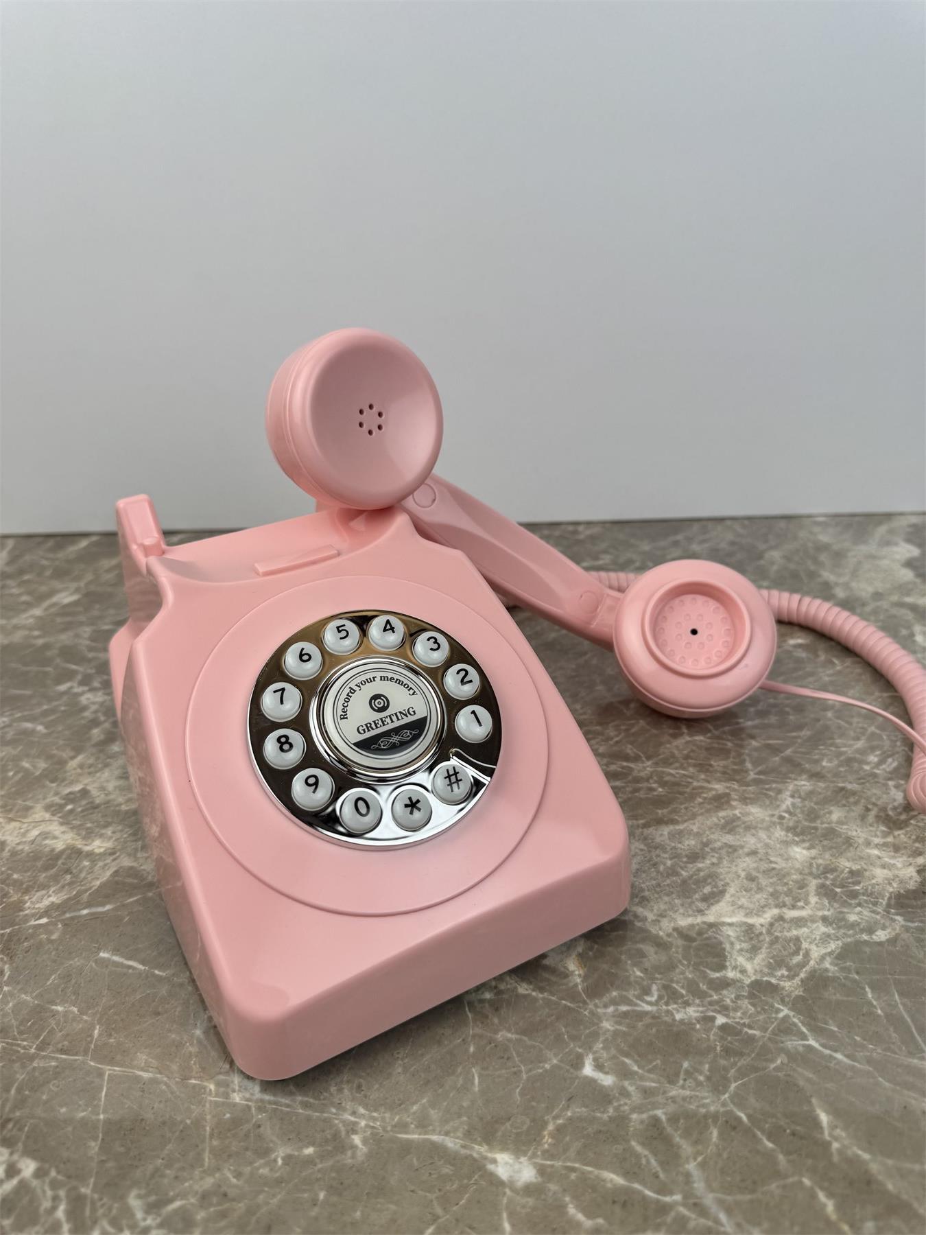 Pembe Echo